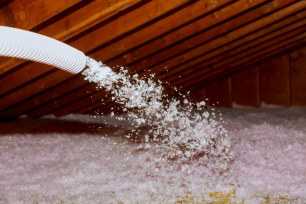Best Insulation Installation Services in Ladonia, AL
