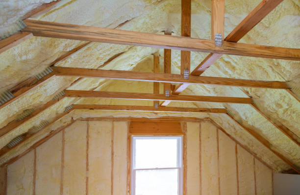 Best Energy Efficiency Solutions in Ladonia, AL