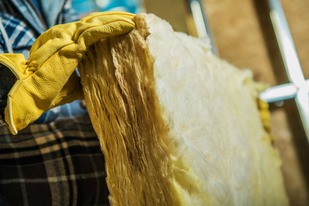 Best Types of Insulation in Ladonia, AL