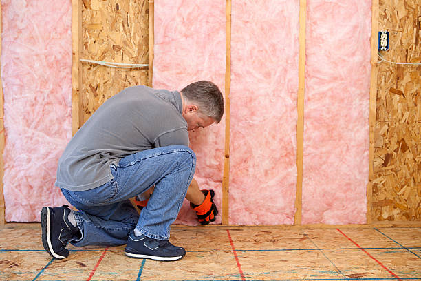 Best Specialty Insulation in Ladonia, AL