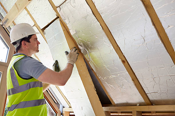 Best Insulation for Specific Applications in Ladonia, AL