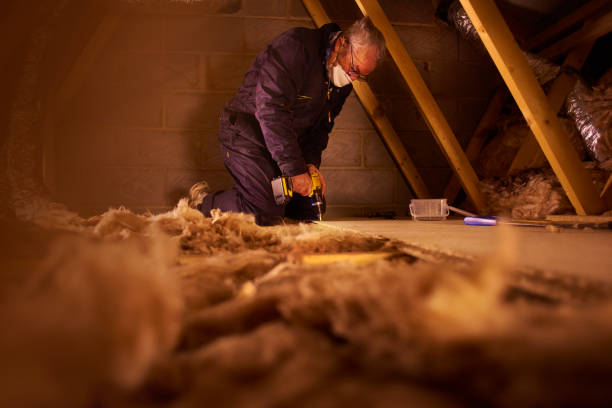 Best Insulation Materials and Products in Ladonia, AL